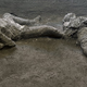 Imagen para el artículo titulado Descubren los restos de dos muertos en la erupción del Vesubio en Pompeya